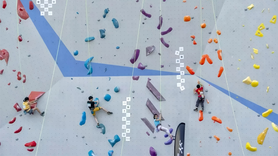 indoor rock climbing supplier