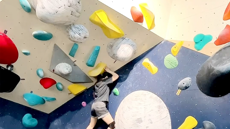 indoor rock climbing wholesale