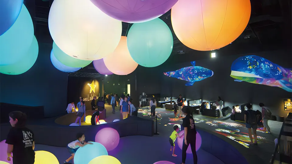 interactive play equipment bulk